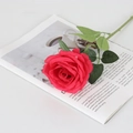 Single red velvet artificial rose with green leaves on an open magazine display - Round Silk Rose Red