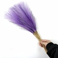 Hand holding a bundle of purple 55cm artificial pampas grass for boho home decoration - 53-55cm / Purple White Gradient