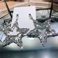 Elegant large star-shaped earrings with shimmering crystals on a jewelry card - Large Five-Pointed Star Rhinestone Style (44#银针-银色)