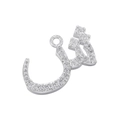 Macro view of silver Arabic Allah pendant with clear gemstones on a white background - White Gold 10