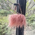 Detail of pink ostrich feather clutch with crystal clasp and golden chain strap - Lotus Pink
