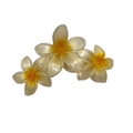 Translucent candy color plumeria hair claw clip with three vibrant gradient flowers - Pearly Triple Plumeria Claw [Yellow]