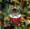 Weihnachtsschmuck Socke mit schwarzem Schnauzer, Rentiergeweih und bunten Lichtern - Schwarzer Schnauzer