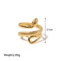 Macro shot of gold snake ring showing dimensions 2.1cm and 2.89g weight details - Wrapped Snake Style (XKR0184) / Gold