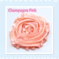 Detailed view of champagne pink pearlescent satin fabric rose flower for DIY crafts - 100 g / Champagne Pink
