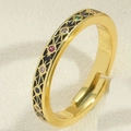 Vintage gold V-shaped open ring with black enamel and multi-color gemstones inlay - Black Enamel Rhinestone (JZ0428黑色)
