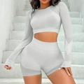 Ensemble fitness sans couture gris clair avec haut à manches longues et short gainant - S / Haut Et Bas / Gris clair
