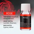 10ml rose car perfume refill in glass bottle with orange liquid and screw cap - 10ml / Rose