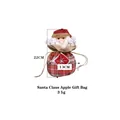 Santa Claus themed Christmas gift bag with red plaid design measuring 22cm by 13cm - Santa Claus Standard Bag