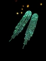 Macro shot of luxurious green rhinestone long tassel earrings over a dark background - Flat Style / Green Flat