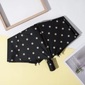 Ombrello pieghevole nero a pois dorati con manico automatico su sfondo minimalista - Automatico Nero Beige Pois