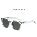 Modern transparent grey sunglasses with black-grey UV lenses and silver star detail - Transparent Grey Frame Grey Lens