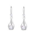 Orecchini a goccia in argento con zirconi trasparenti e design a pendente elegante - Argento