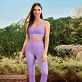 Women's lavender two-piece yoga set with seamless high-waist leggings and sports bra - S / Top And Bottom / Purple