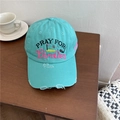 Distressed mint green baseball cap with embroidered Pray for Birdies text on wood surface - Adjustable / Lake Blue