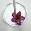 Molla per capelli a fiore di frangipane viola sfumato su un vassoio di ceramica bianco - Stile Floreale Classico / 8cm / Fucsia
