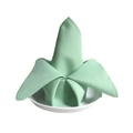 Servilleta de tela verde claro plegada sobre plato blanco con tejido texturizado - verde claro