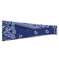 Blue paisley print sports headband made of soft moisture-wicking fabric for gym workout - 3# Light Blue Paisley