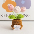 Handmade crochet tulip plant in pot with mini motivational card and smiling face - Chubby Tulip - Pink Series