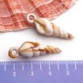 Acrylic conch sea shell charms in white and brown for DIY jewelry making with ruler - Cream Acrylic Conch 9x32mm (17284)
