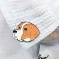 Pointer