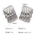Macro detail of silver stainless steel feather earrings with 19mm and 24mm dimensions - Silver Fan Radiant