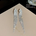 Eleganti orecchini lunghi a nappa in finitura argento con strass scintillanti - Pendente a Onda Tutto Diamanti Argento (E0397)