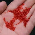 Transparent orange glass seed beads for DIY jewelry making held in hand for scale - 2mm / 15g / Red