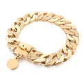 30mm golden stainless steel Cuban link dog collar with round ID tag and snap buckle - Gold (KDC017-KJX)