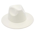 Macro shot of white felt fedora hat material texture and wide brim detail - One Size / Off White