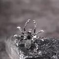 Gothic punk spider ring in silver finish with black gemstones on textured stone base - Silver Metal Black Gem Pave Rhinestone Spider Ring