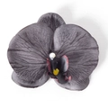 Testa di orchidea nera artificiale in tessuto per accessori per capelli fai-da-te - Seta Nero (Grande)