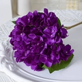 Dark Purple