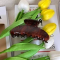 Detailed macro view of amber red hair claw clip with subtle glitter and tulip accent - Brown