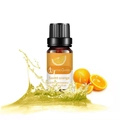 Sweet orange essential oil in 10ml amber glass bottle with vibrant citrus orange slices - Orange (single Ingredient)