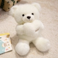 Süßer weißer Plüsch-Teddybär in Sitzposition mit goldener Stickerei an den Pfoten - Weißer Herz-Stil