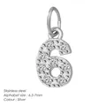 Polished silver stainless steel number 6 pendant with cubic zirconia stones - Number 6(ZP39295) / Steel