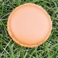 Mini macaron style jewelry storage box in orange-brown color on green grass background - Orange