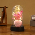 Preserved pink baby's breath flower in glass dome with warm LED lights and Love heart - Pink (Acrylic + Plastic Base)