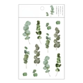 Eucalyptus leaf PET flat sticker, flower series decorative sticker for DIY journal planning. - Eucalyptus Leaf
