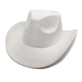 Detail view of the classic white suede cowboy hat with a wide brim and western crown shape - M (56-58cm) / Beige