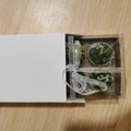Green succulent tea light candles set in white gift box with silver ribbon tie - Simulated Succulent Candle Set (Set Of 6) / Set of 6