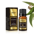 Eucalyptus essential oil 10ml in amber glass bottle with premium paper box packaging - Eucalyptus
