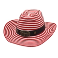 Unisex striped raffia straw cowboy hat with vintage bull head buckle and wide brim - One Size(56-58cm) / Red & White with Windproof Rope (Star Bull Head)