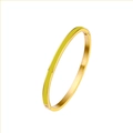 Macro side view of golden titanium steel bangle featuring a yellow enamel inlay and hinge - 5mm / Gold