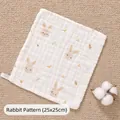 25*25cm Rabbit