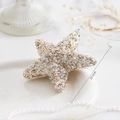 Adorno navideño de estrella de mar dorada con perlas, decoración festiva de 13,5 cm para árbol - Estrella de Cinco Puntas Oro Champaña / 13.5cm
