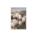 Modern Nordic white tulip floral art poster with a light wood frame for wall decor - Style A