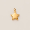 Detailopname van een 18K vergulde sterhanger met een gladde gepolijste afwerking - Ster Hanger / Goud
