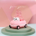 13*10*10cm / Pink